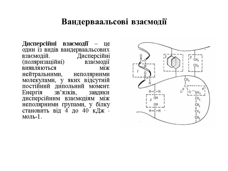 Вандерваальсові взаємодії  Дисперсійні взаємодії – це один із видів вандерваальсових взаємодій. Дисперсійні (поляризаційні)
